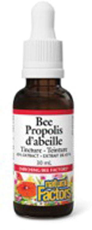 natural-factors-bee-propolis-tincture