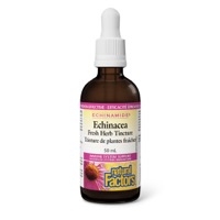 natural-factors-echinacea-fresh-herb-tincture