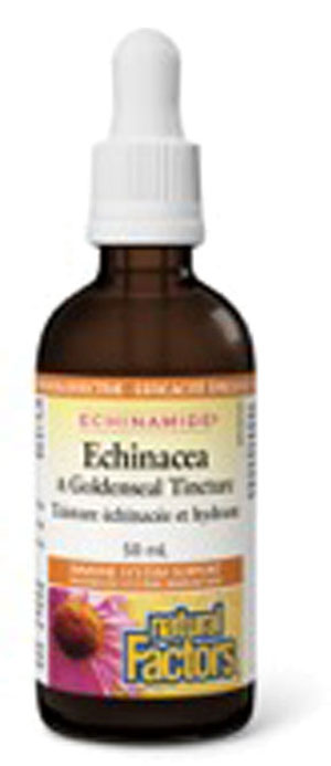 natural-factors-echinacea-goldenseal