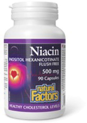 natural-factors-niacin-500-mg