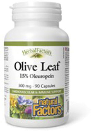 natural-factors-olive-leaf-500-mg